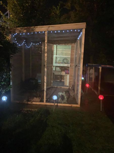 10ft x 6ft Rabbit Shed and Run.