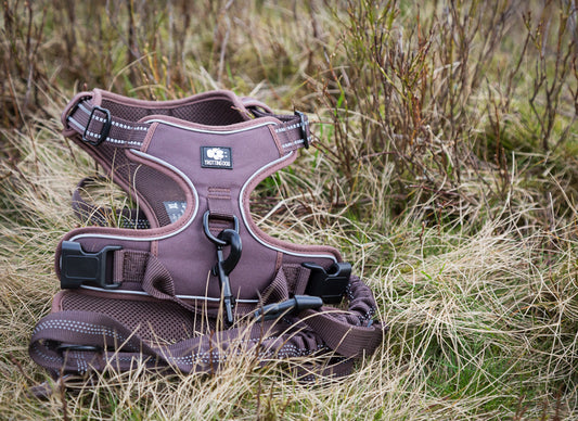 Trotting dog harness set XL - LIMITED STOCK.