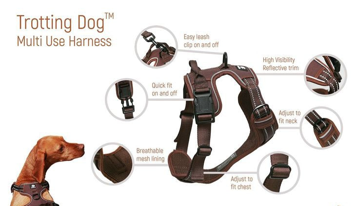 Trotting dog harness set XL - LIMITED STOCK.