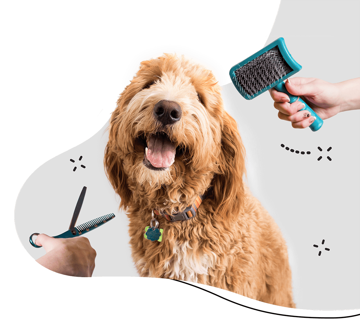Grooming & Hygiene