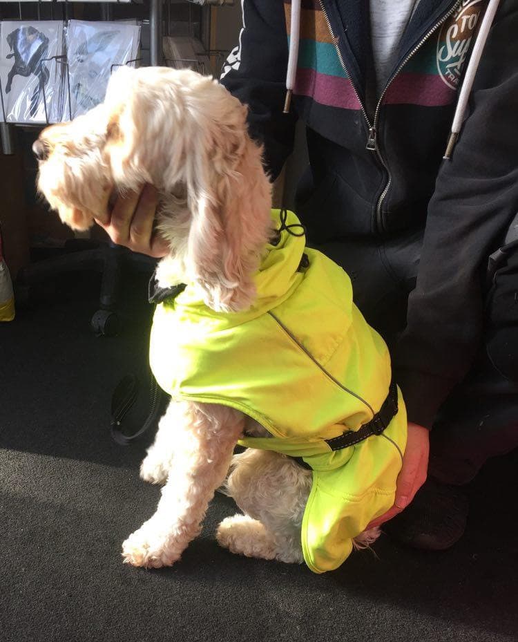 Muddy Paws Extreme Blizzard Dog Coat Hi-vis.